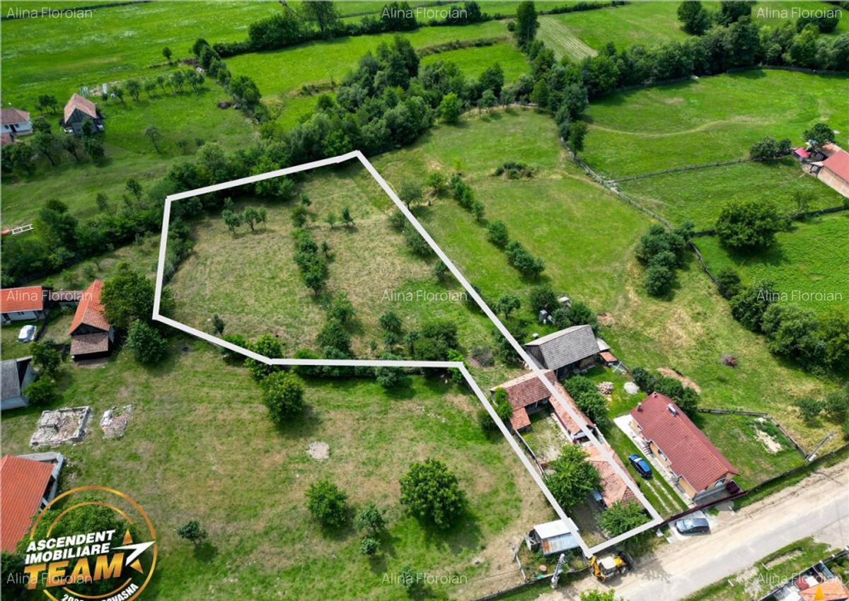 FILM!Casa personalizabila anexe domeniu de peste 3.600mp,in - 13
