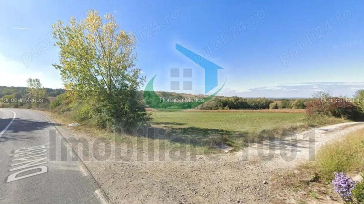 Teren intravilan 6300 mp, Carbunari, parcelat, acces la doua drumuri publice - 2