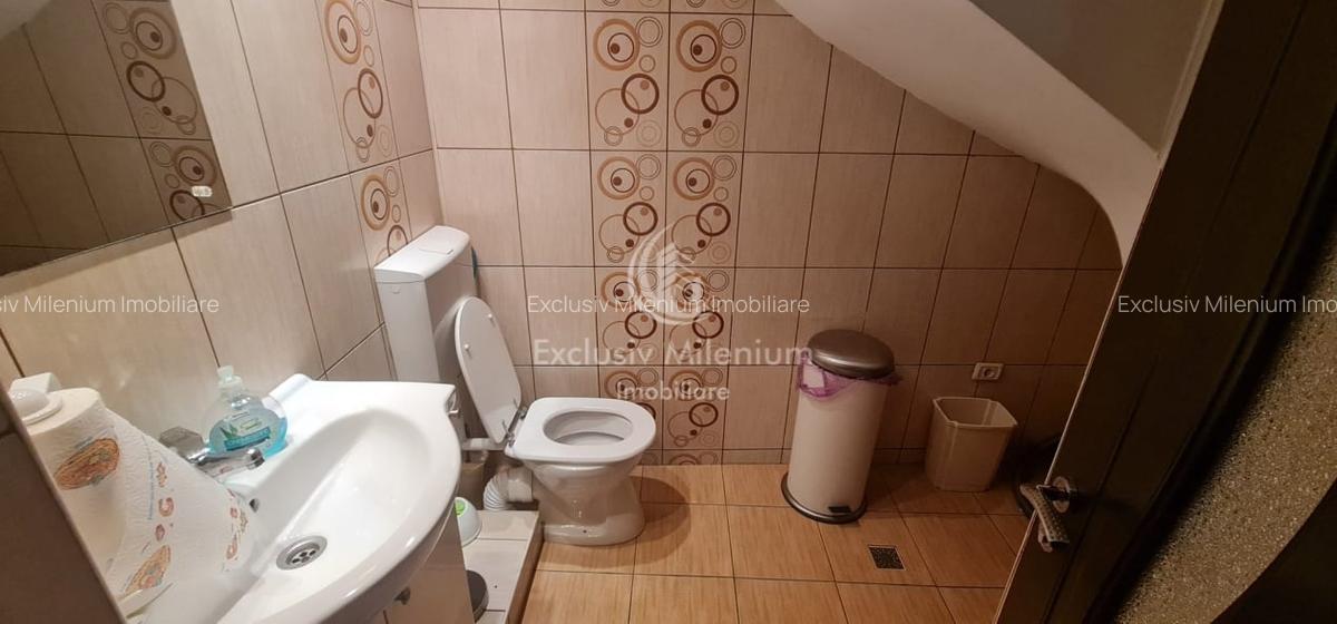 Cladire de Birouri / Vila Pasaj Basarab - Nicolae Titulescu Banu Manta - 13