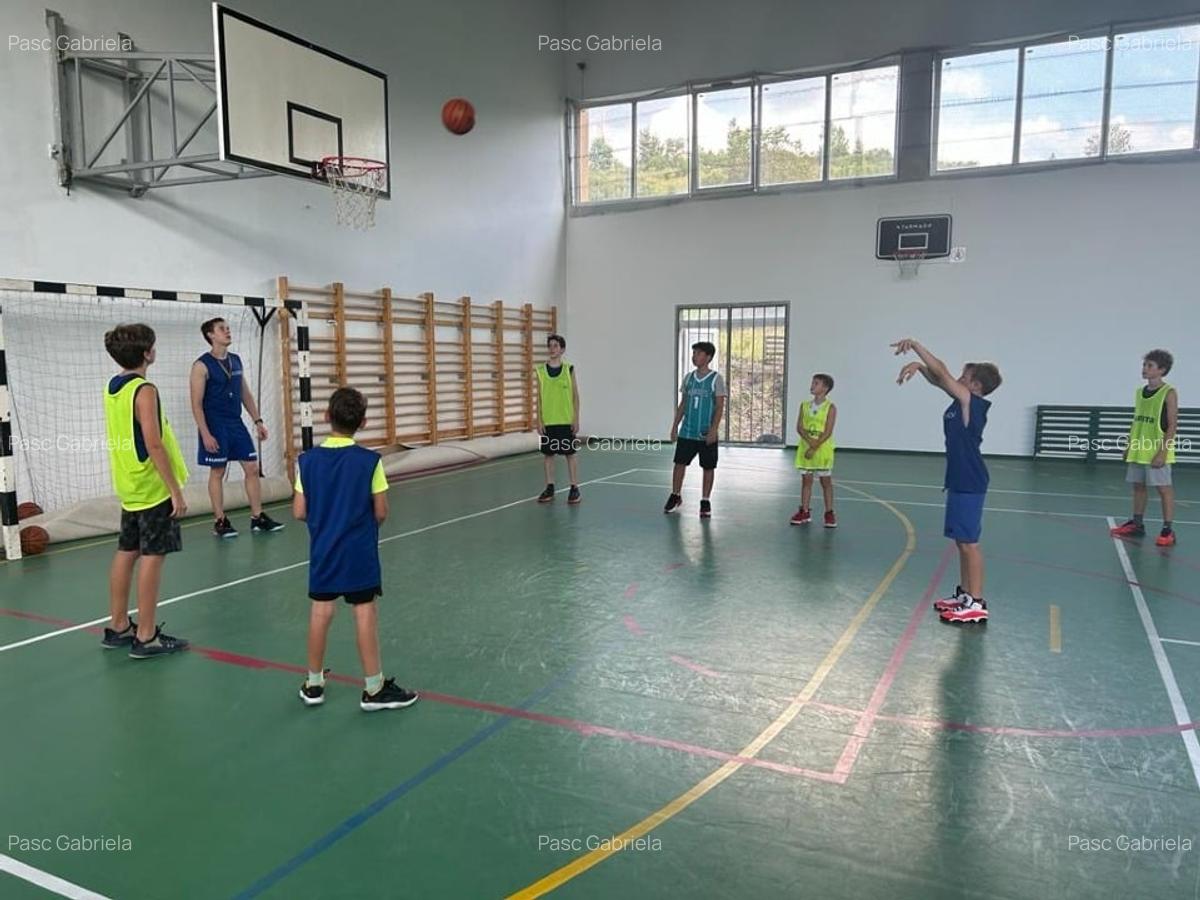 Dau spre inchiriere imobil D.P+2 (1350mp+curte +2 ap) posib schimb destinatie - 2