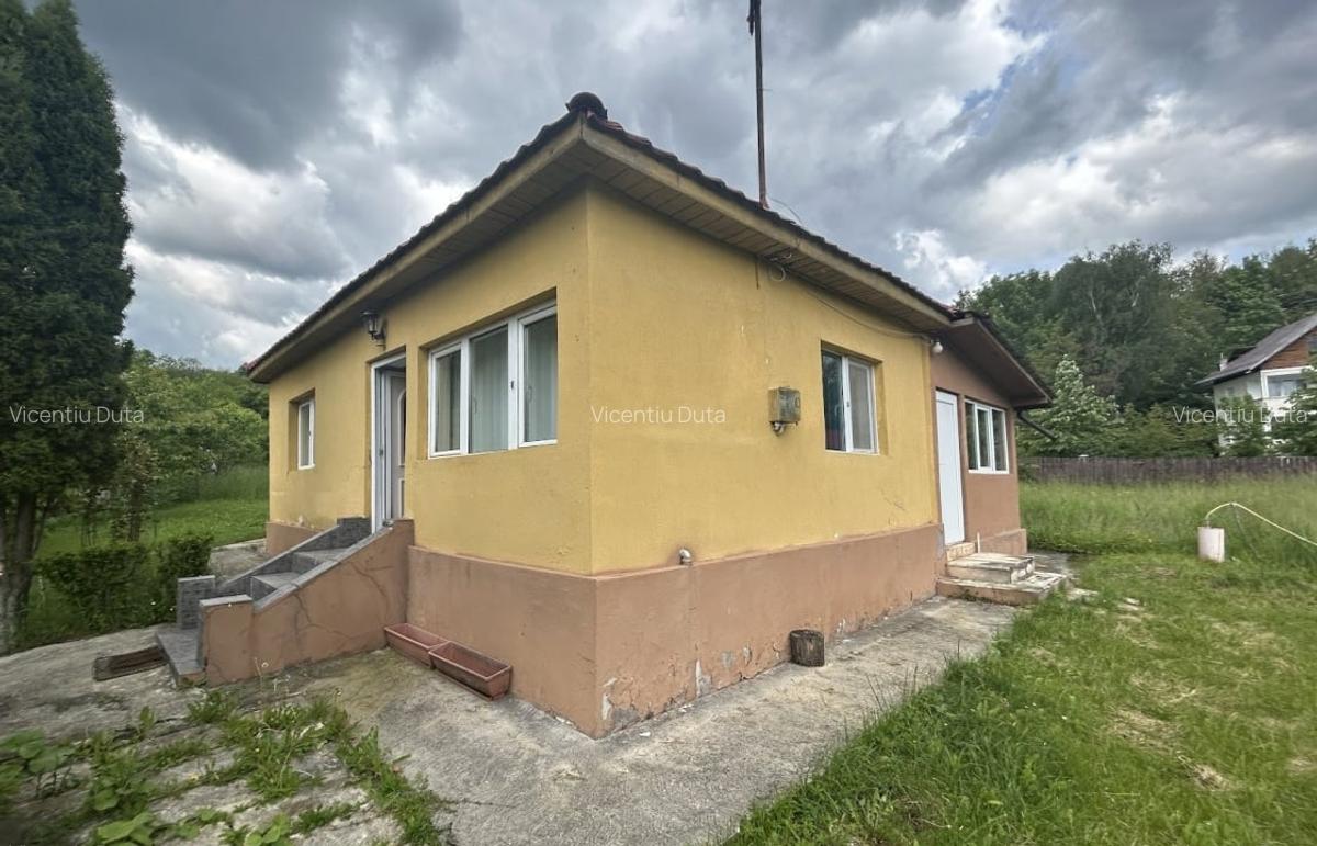 VAND CASUTA CU 1000 MP TEREN, SURDESTI BREAZA - 3