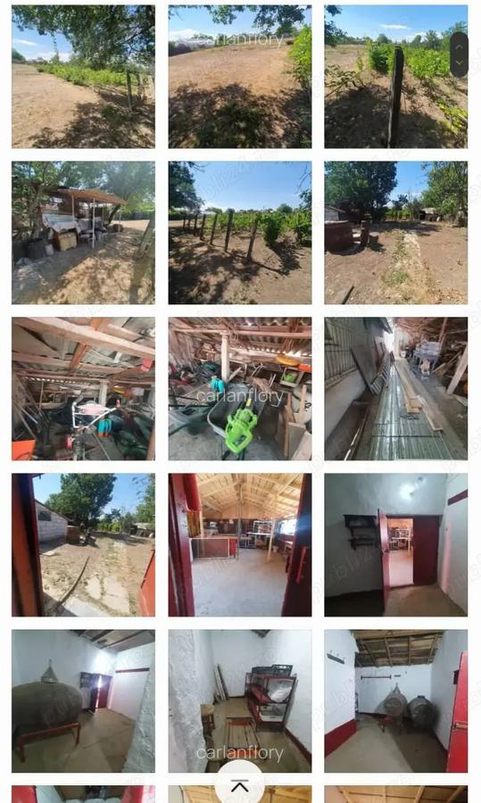 Casa de vanzare la Valea Nucarilor din Tulcea la doar 52.000 euro - 4