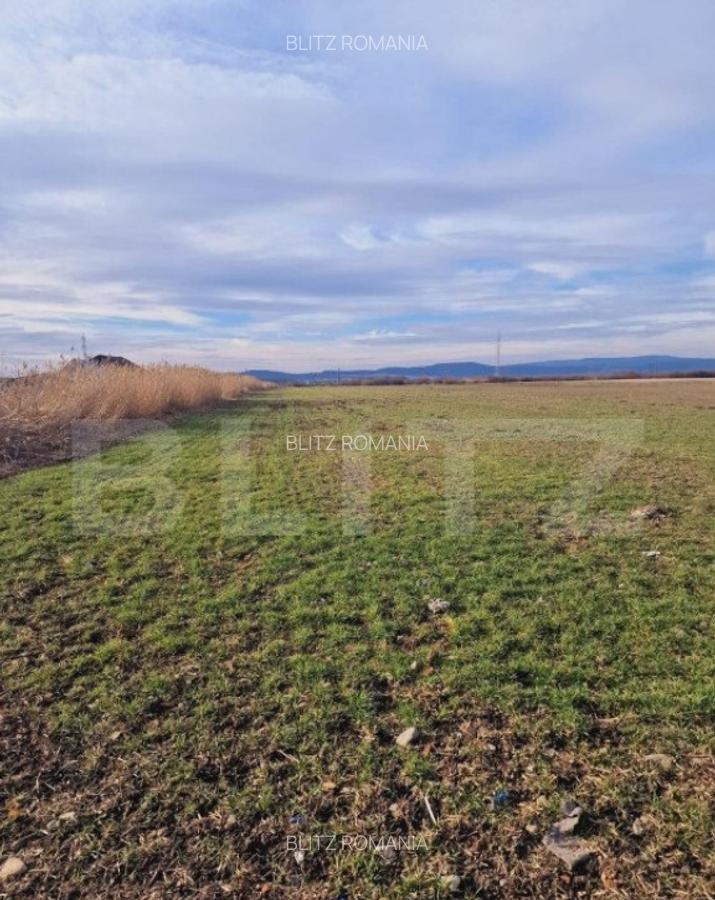 Teren intravilan, 8700mp,Prejmer - 5