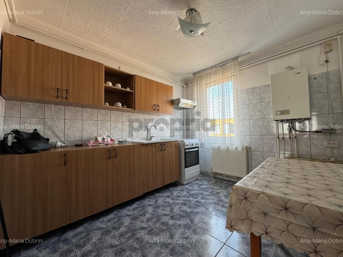 Apartament 3 camere, decomandat, Str. Fanionului 25, Craiter - 17