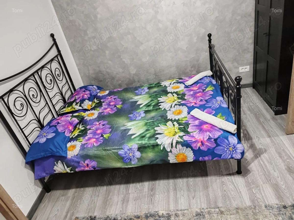 Apartament Baile Herculane - 3