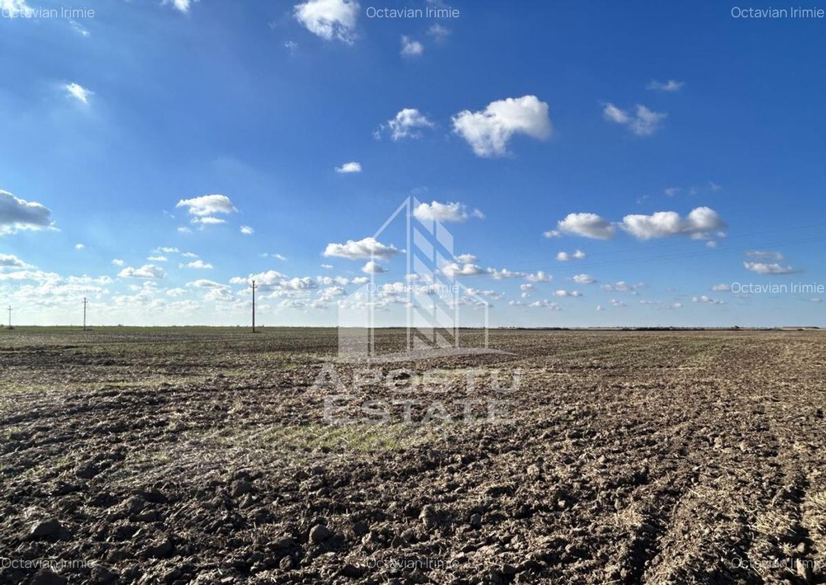 Teren 98.503 mp, intravilan, ideal parc fotovoltaic, Peci... - 1