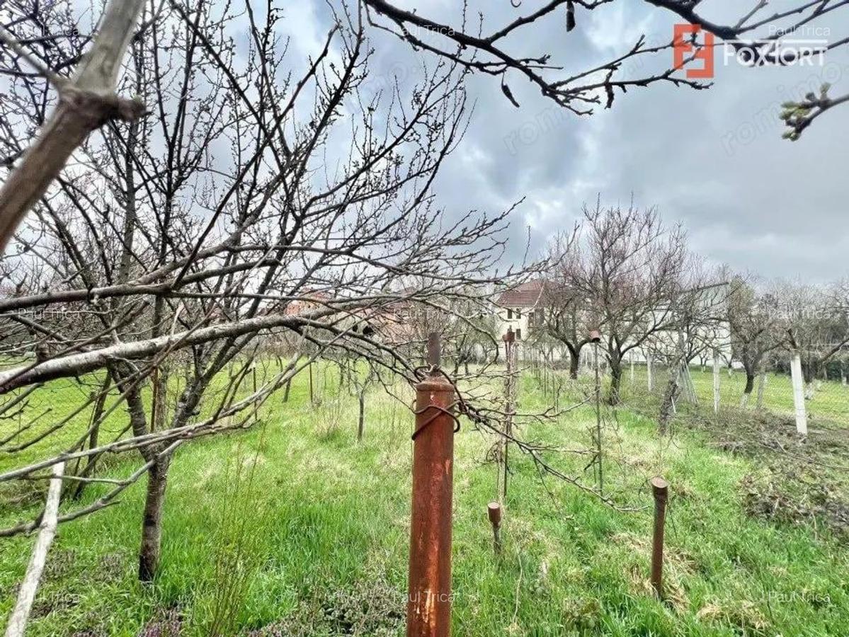 Casa individuala cu 3 camere si teren de 952 mp, zona Crisan - 14