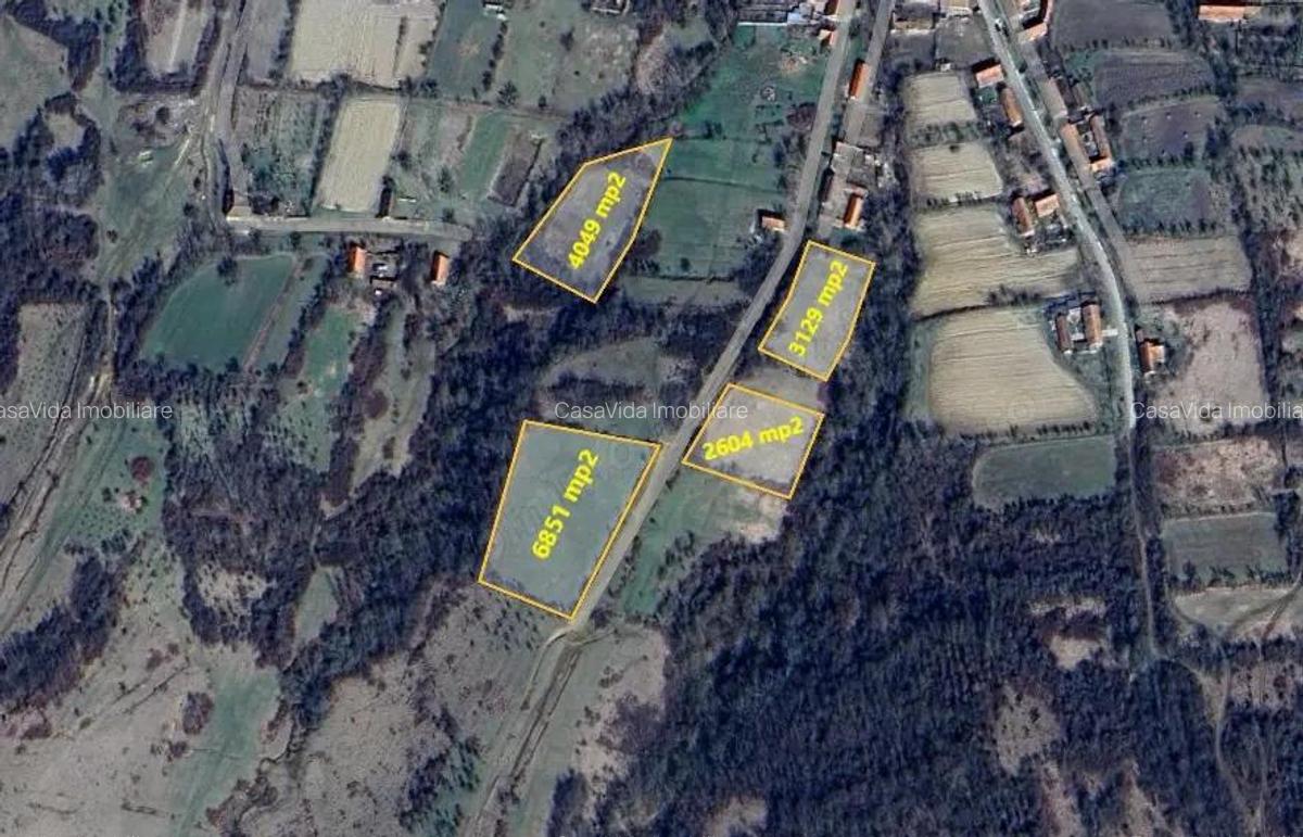 Teren de vanzare - 1