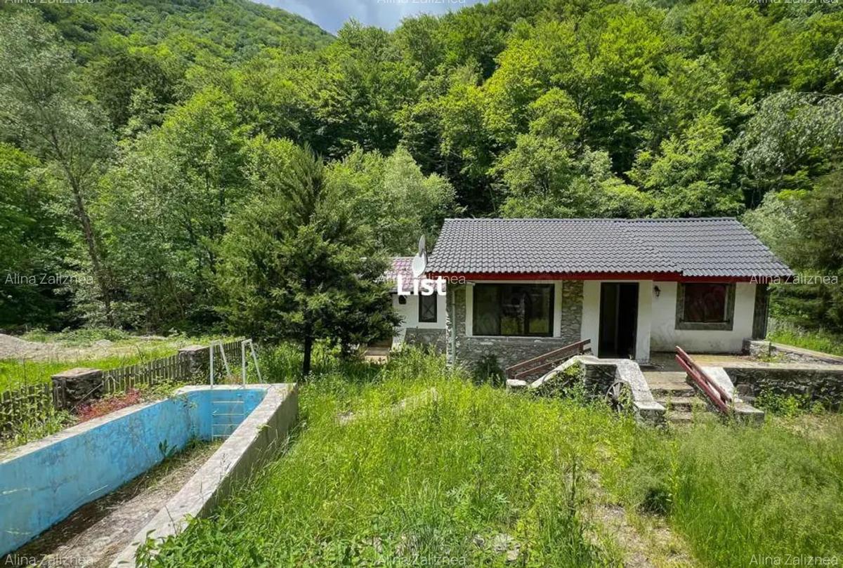 Casuta de vacanta in mijlocul naturii cu piscina - 13