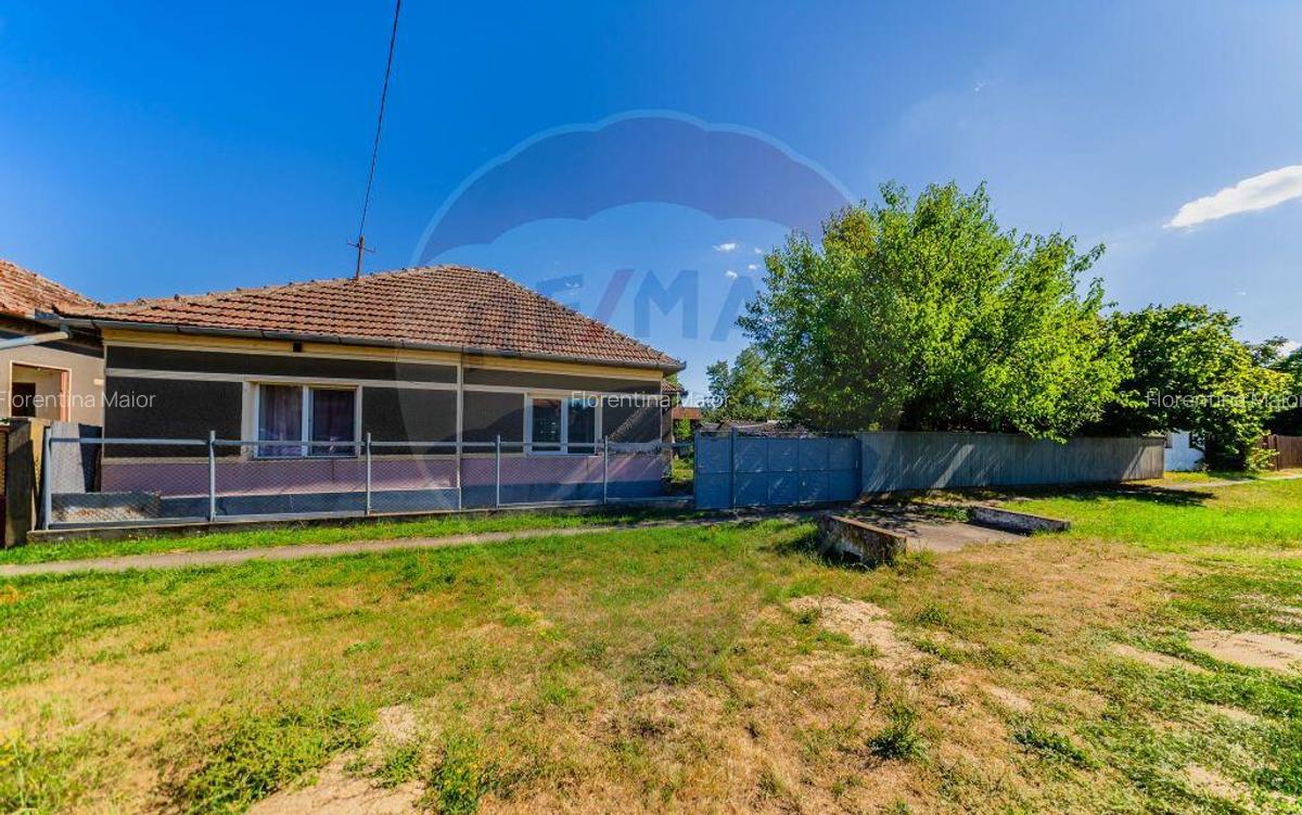 Casa + teren 2880 mp de vanzare in Tipar,Sintea Mare - 2