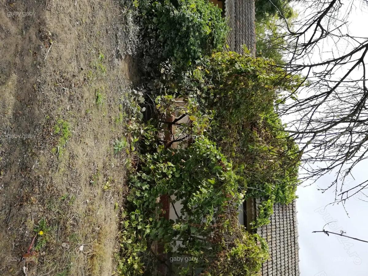 Vand casa batraneasca - 3