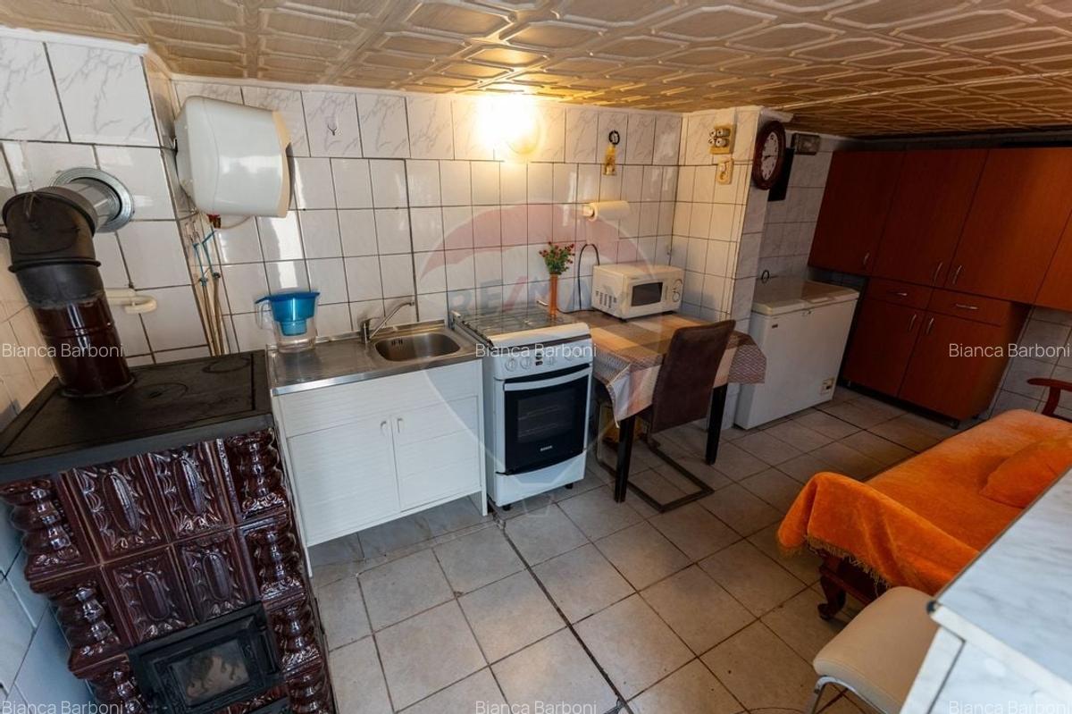 Casa de vanzare Certejul de sus,jud. Hunedoara - 13