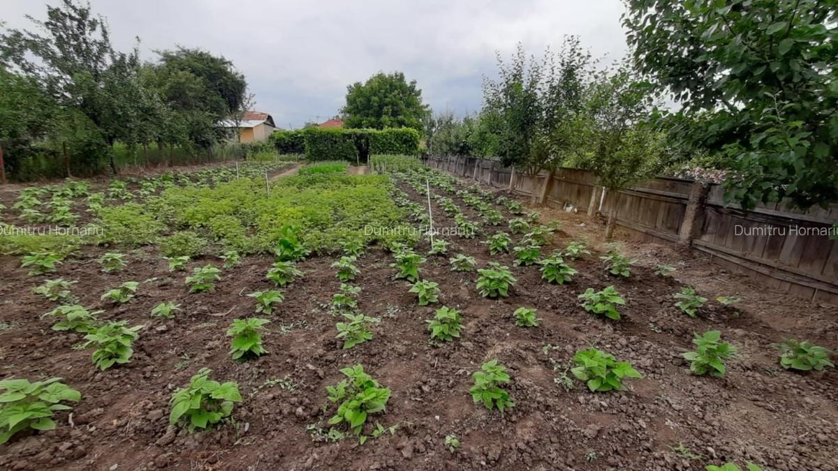 Casă cu 4 camere în Central - 4