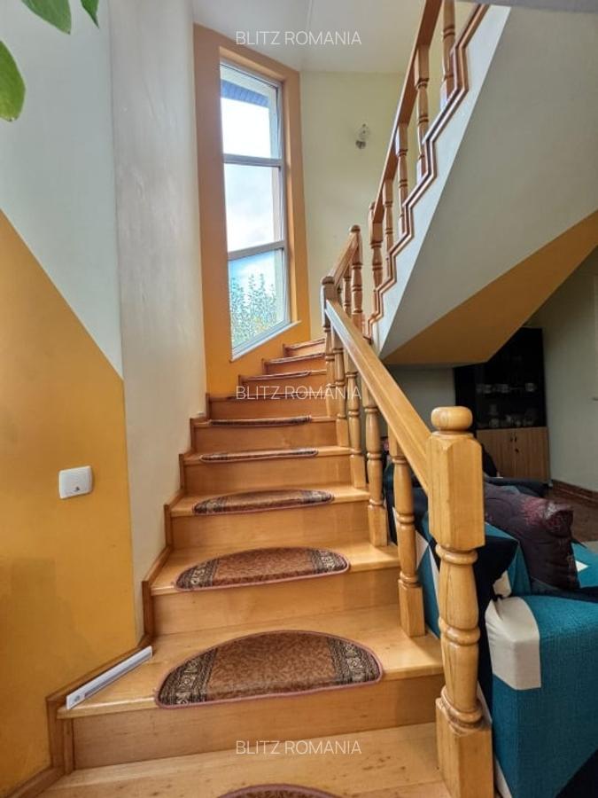 CASĂ DE VIS SAU AFACERE DE SUCCES - BAIA SPRIE - 18