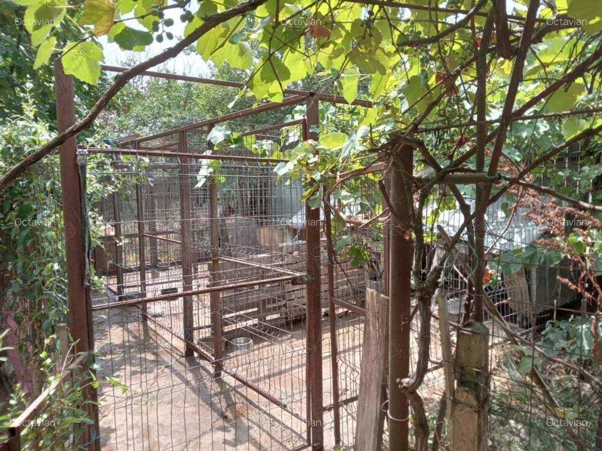 Casa de vanzare+1000 mp teren, la tara - 5