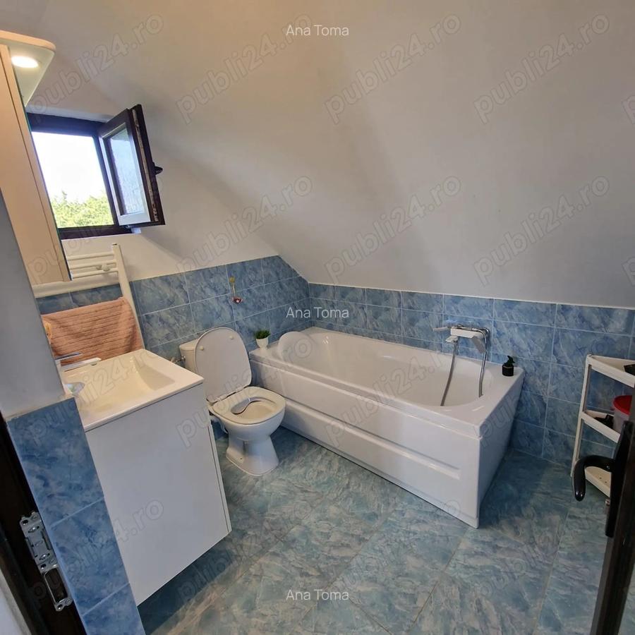 Casa Odaia Manolache - 9