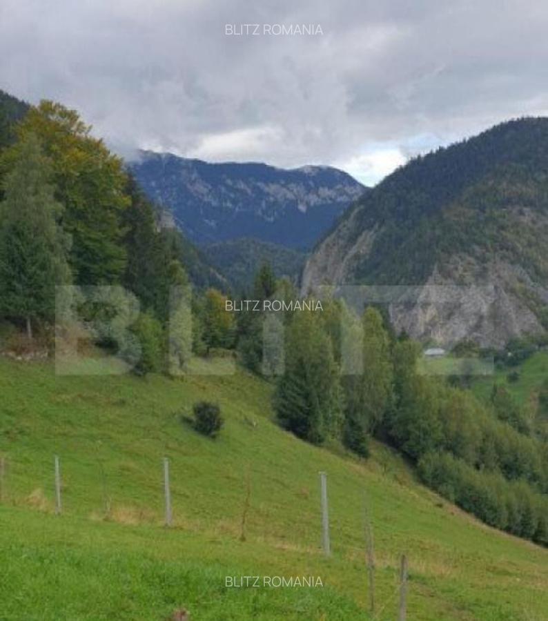 Teren 13.570 mp, Moieciu Pestera - 14