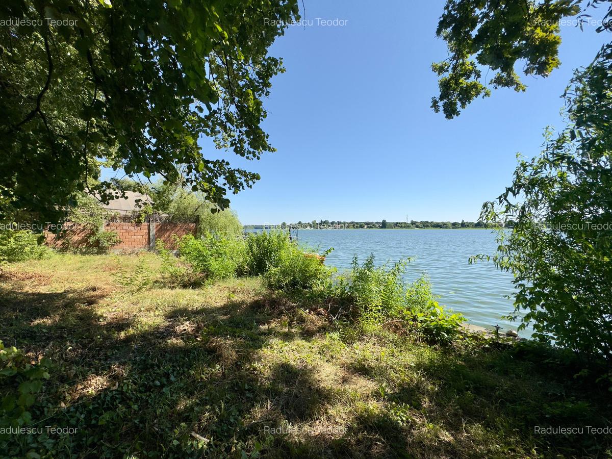 Teren 4800mp | Padurea Snagov | Deschidere larga la Lacul Snagov | Investitie - 6