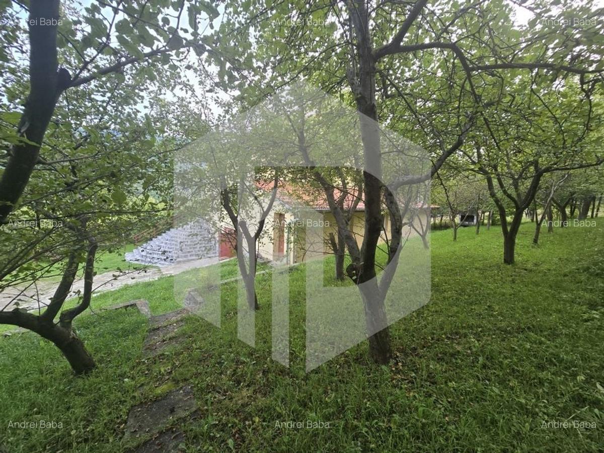 Casa individuala 4 camere teren 3825 mp Cisnadioara - 29