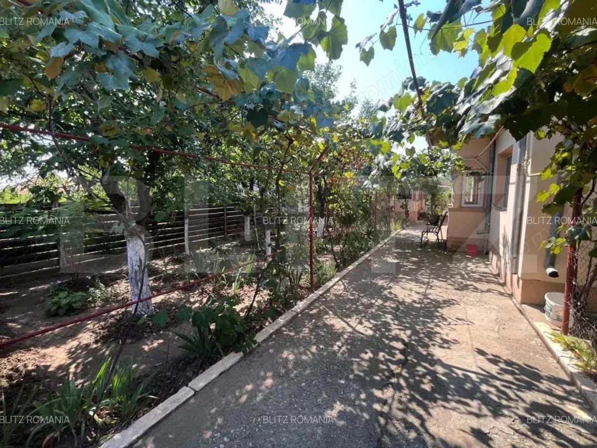Proprietate formata din doua case si 1087 mp teren, zona Carcea - 14