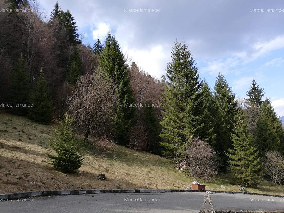Hotel/Pensiune, 1300 mp în Pârâul Rece - 4