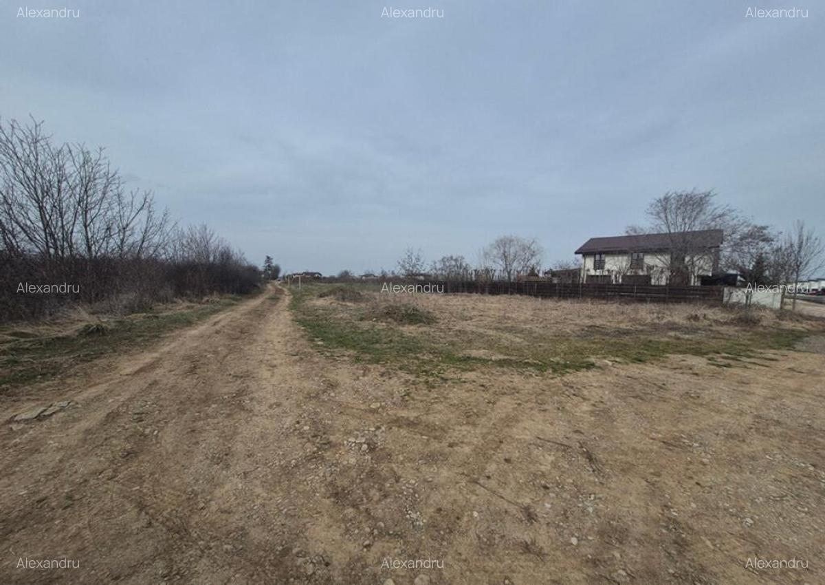 Teren intravilan ieftin Balotesti, 1100 mp, 25000 euro - 2