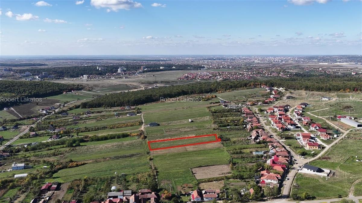 RECO Teren Intravilan Betfia - 6