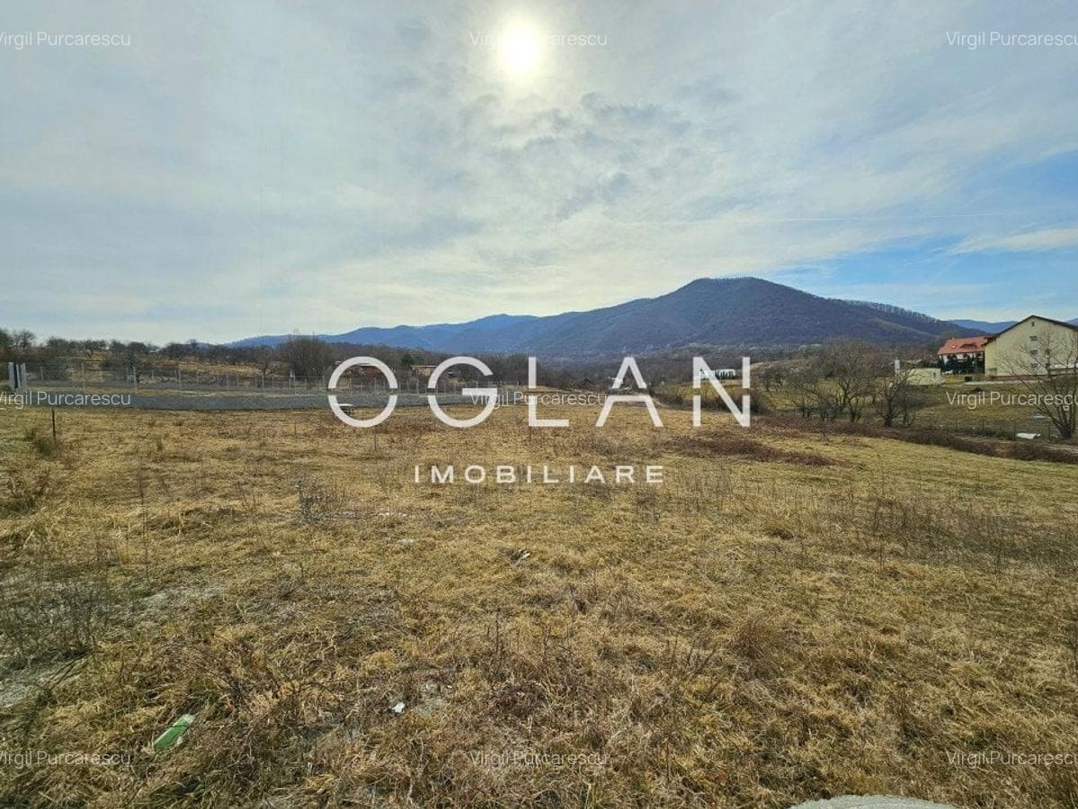 Teren cu PUZ si utilitati, Cisnadie, COMISION 0% - 2