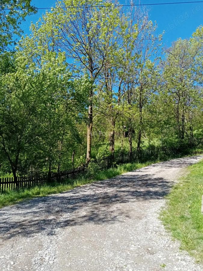 Vand casa ?i teren in Valea Doftanei. - 5