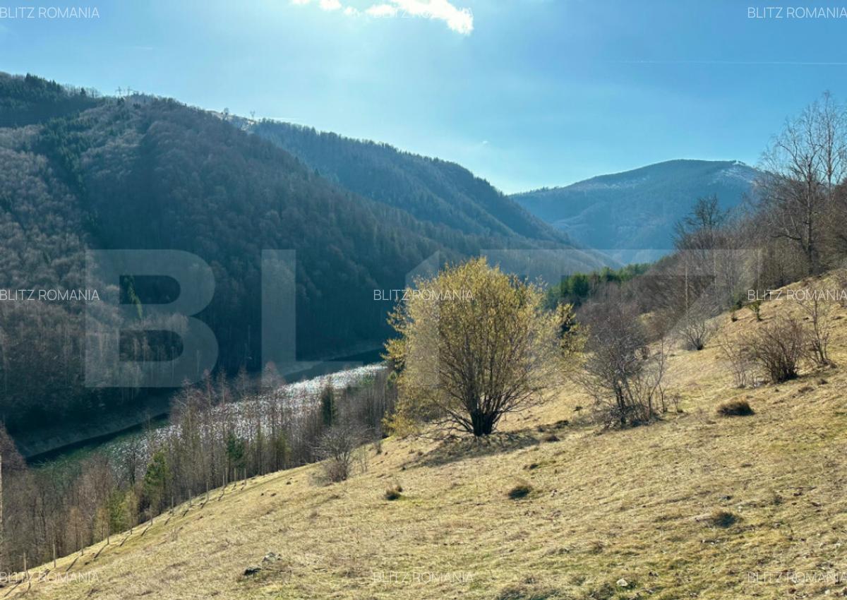 Teren 14 ha compact langa Lacul Tau Bistra - 1