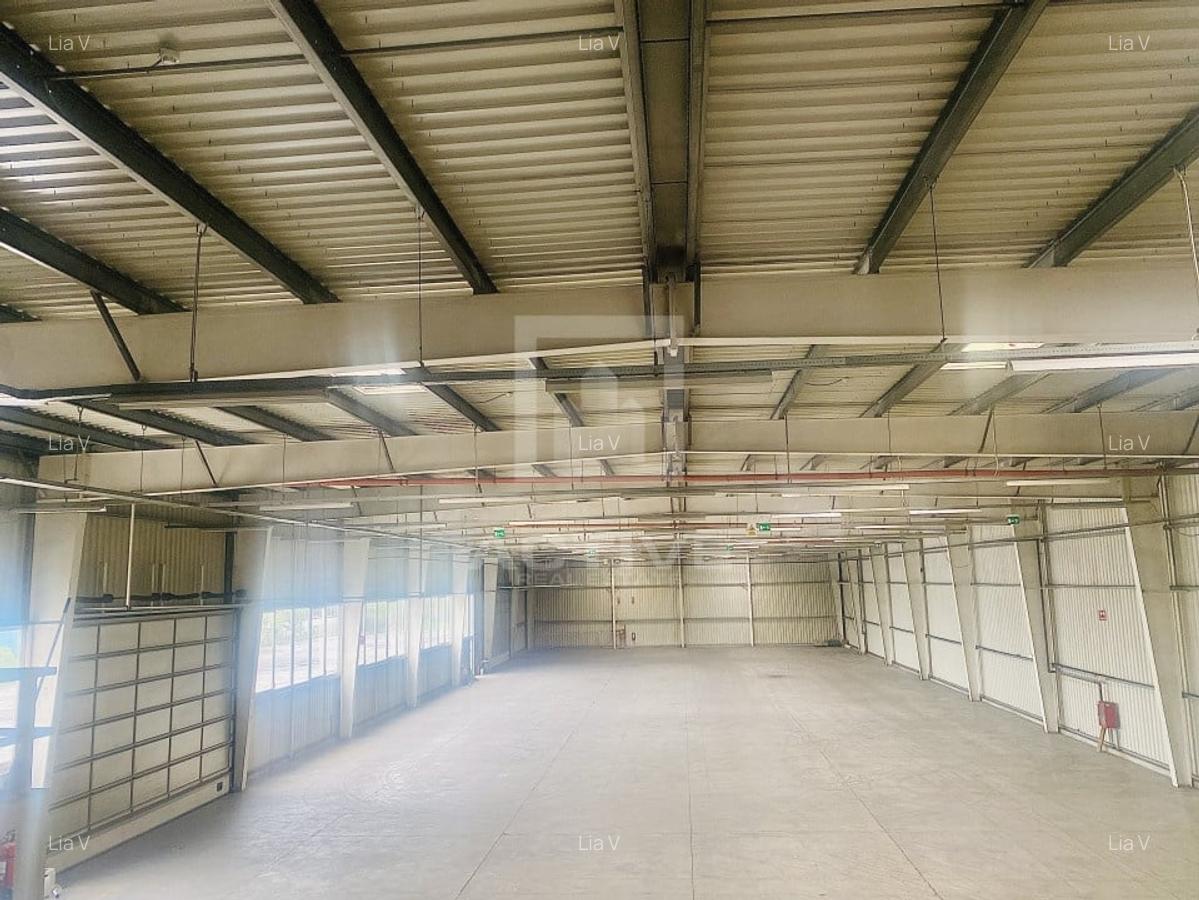 Hala noua ||zona Lidl - 6