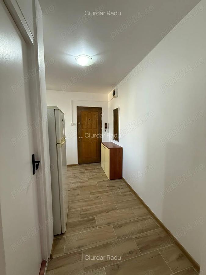 Apartament o camera Lipovei - 3