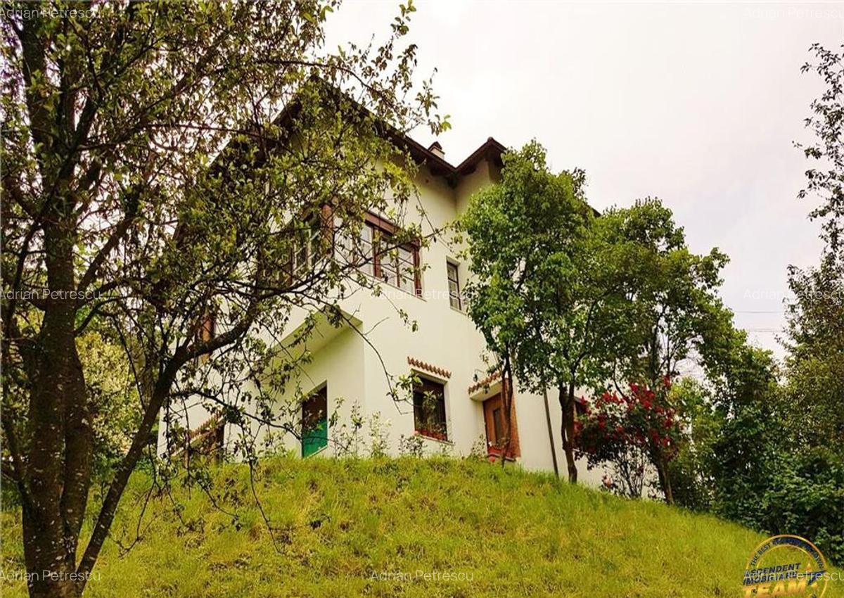 Resedinta distinctiva, pe domeniu de 2.200mp,cadru exclusivi - 1