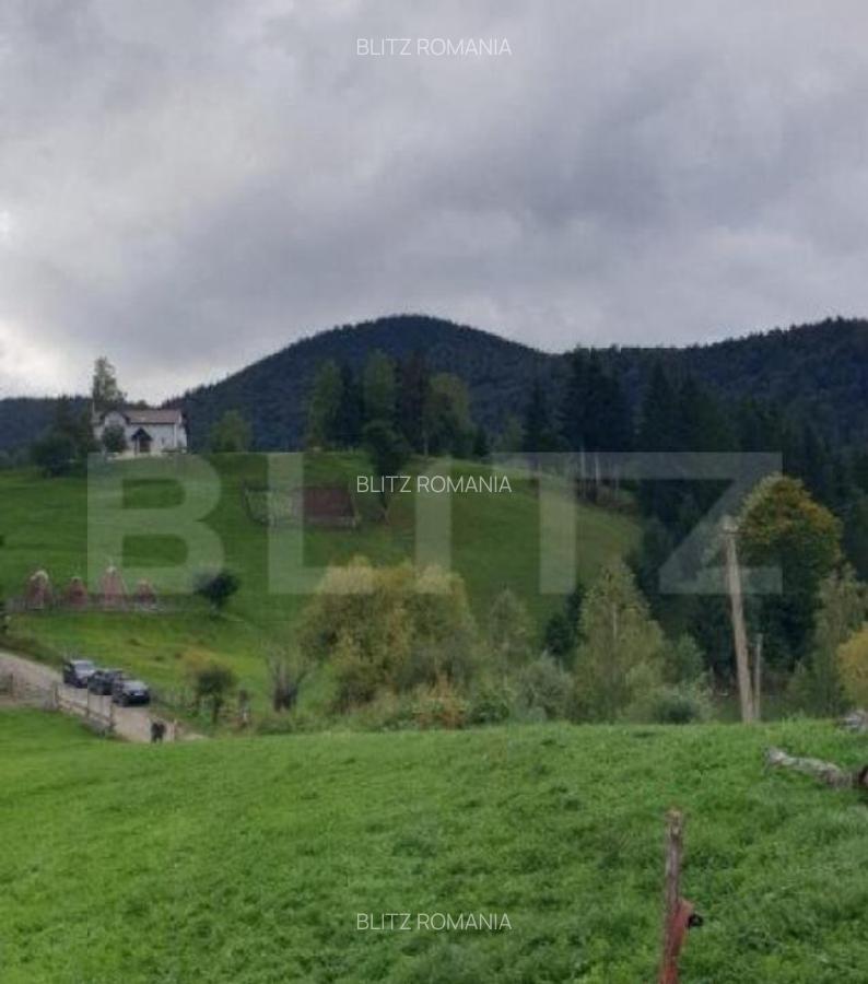 Teren 13.570 mp, Moieciu Pestera - 8