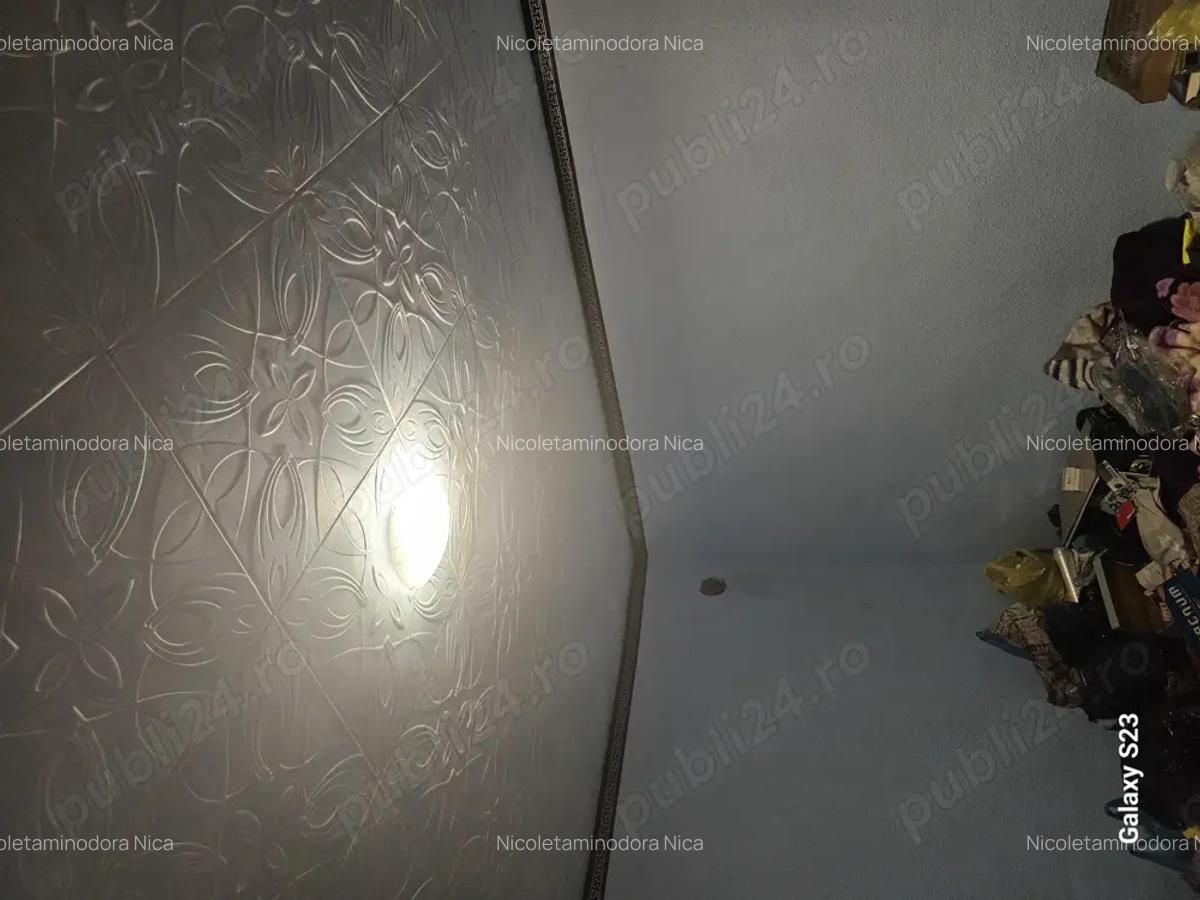 Vand casa in Lanurile com.Ziduri la 13 km de Ramnicu Sarat. - 8 Vand casa in Lanurile com.Ziduri la 13 km de Ramnicu Sarat. - 8