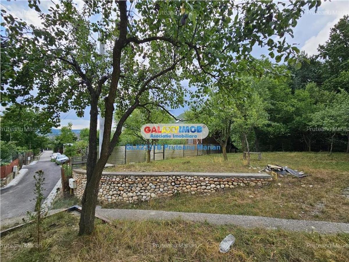 Vanzare teren 2680 m situat la Curtea de Arges cu iesire spre Transfag - 8