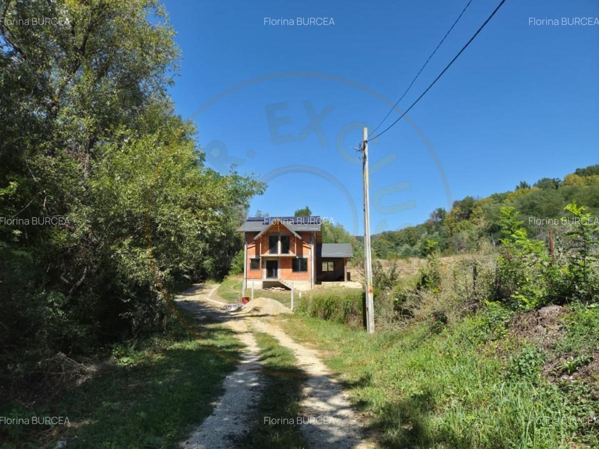 Casa P+1, Babana-Arges cu panouri si apa de izvor - 5