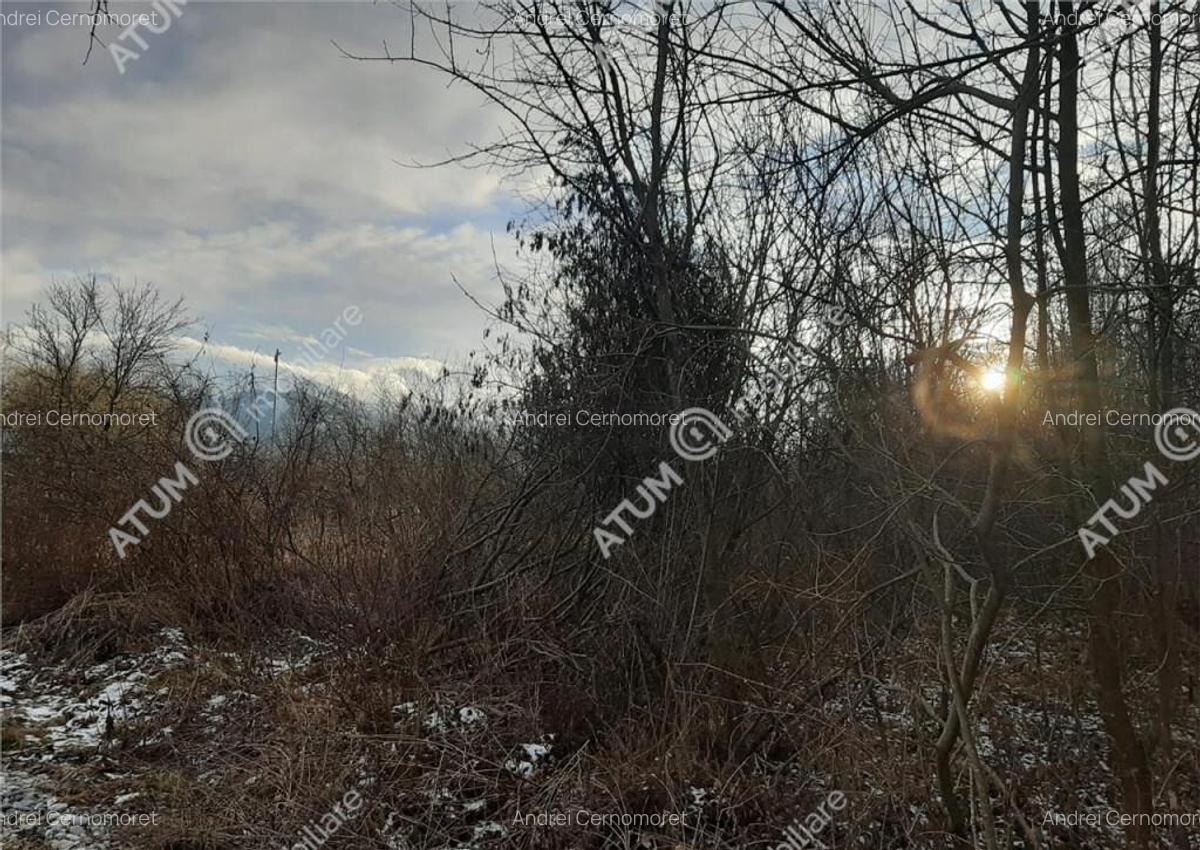 Teren Intravilan 1600 mp in Avrig zona Valea Avrigului - 3