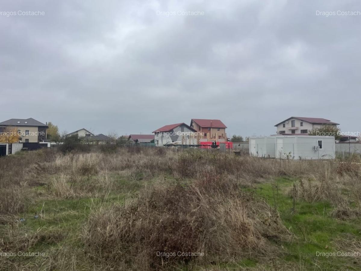 Domnesti, teren intravilan, 775mp, deschidere 38ml, zona de vile. - 5