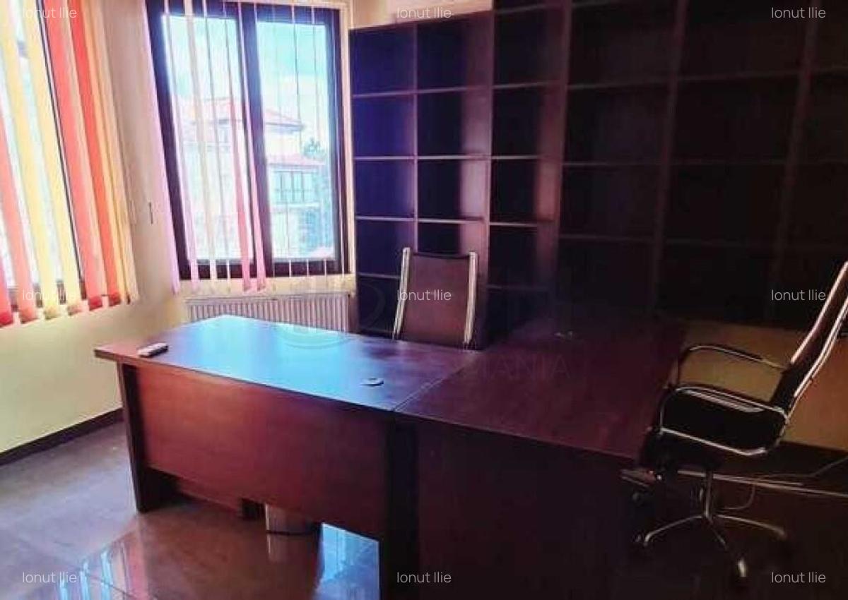 Vila Baneasa - Spatiu Birouri - 3
