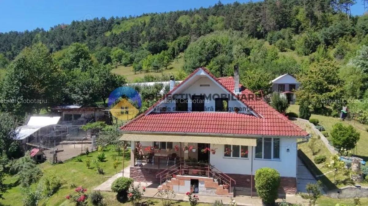 Casa + teren de vanzare - Garcina - 6