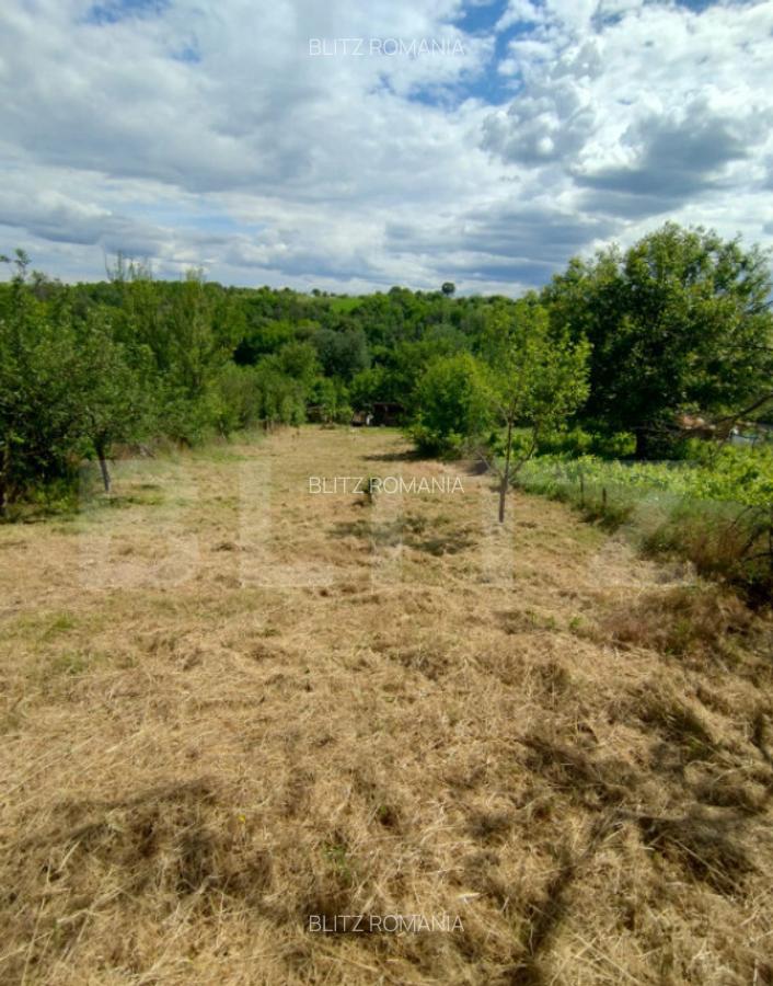 Casa renovata Varvoru de Sus, 30 mpu, 1000 mp curte. - 9