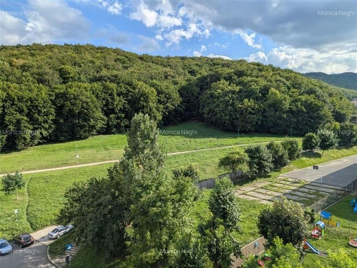 3D!Rezidenta decomandata,mobilata, accesorizata,priveliste montana,Racadau, Bras - 15