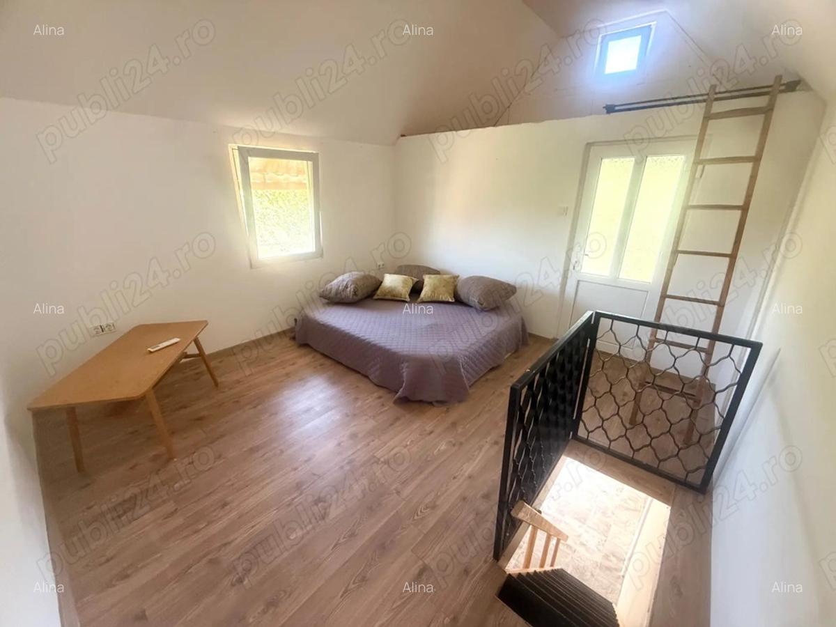 Casa la Mako, pe malul Muresului - 3