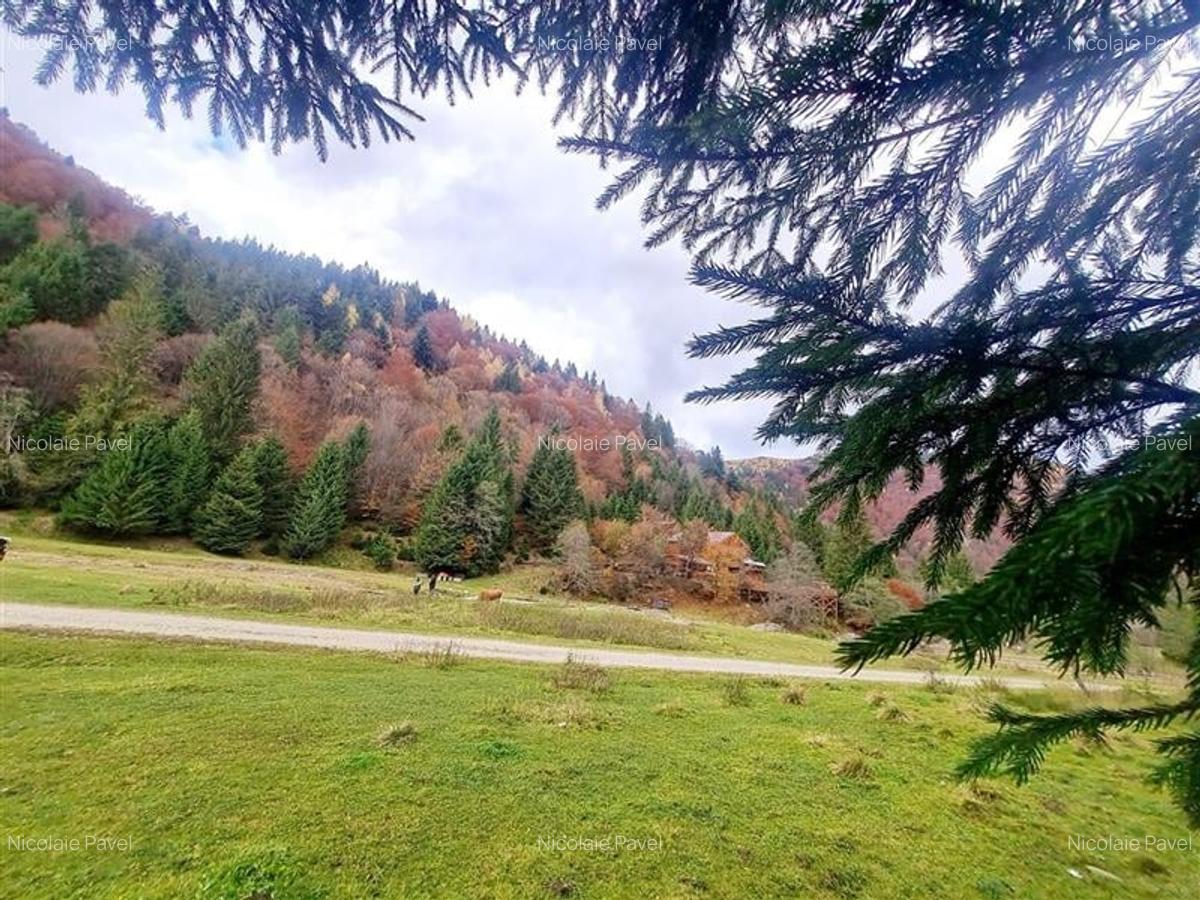 Teren intravilan panoramic 4.600mp,view iconic Piatra Craiului,oportunitate prem - 6