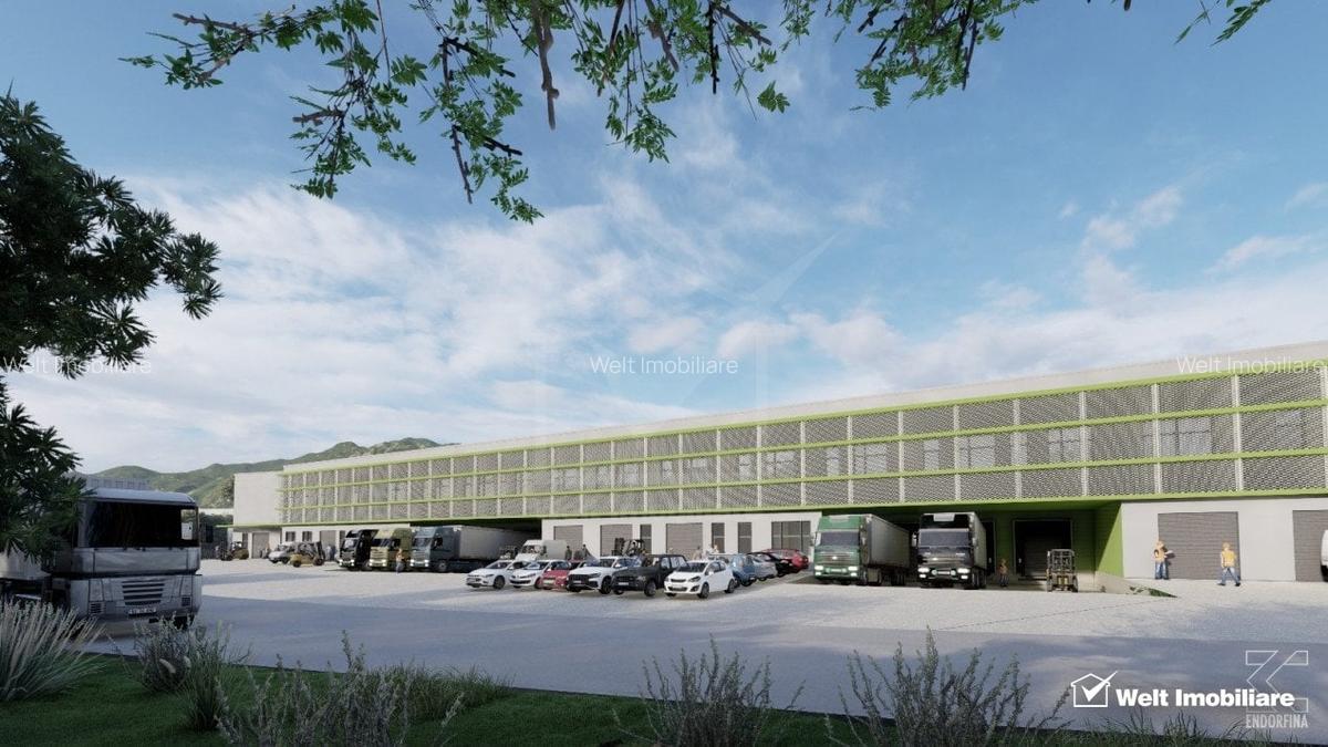 Teren Industrial 9900mp cu autorizatie hala 4600mp, Parc Nervia - 4