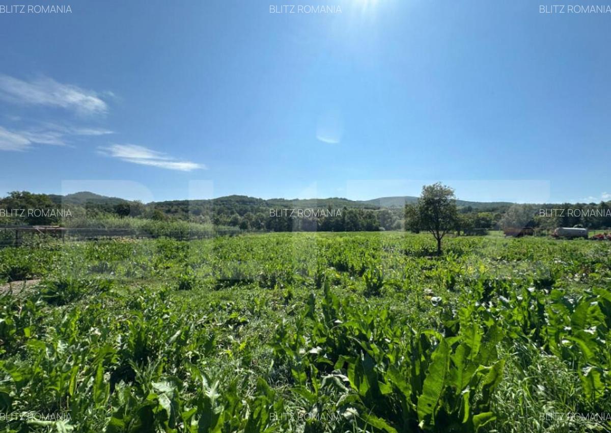 Casa saseasca de vanzare, curte, gradina, teren 3000 mp - Ji - 7