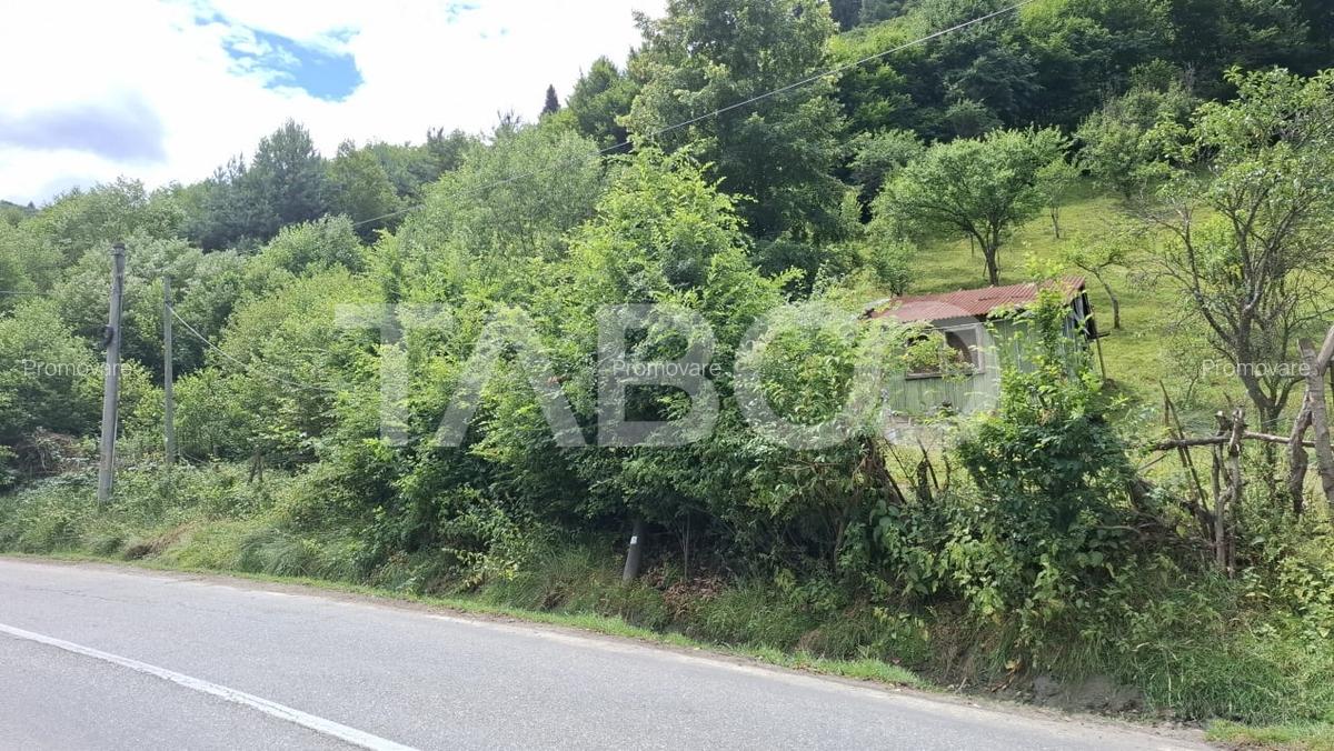 Teren 2500 mp la drum pe Valea Stezii Curmatura Rasinari - 3