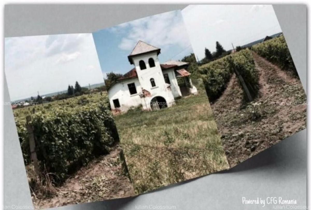 Teren de vanzre in Pitesti 53.000 mp + Conac Boieresc - 8