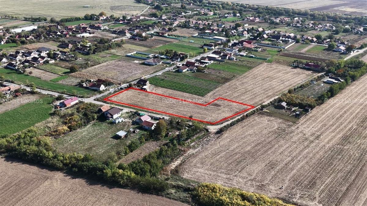 RECO Teren Cheresig 20 km de Oradea - 2